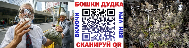 Шишки марихуана сатива  shop клад  Тавда 